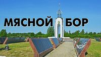 Деревня Мясной Бор / достопримечательности в Новгородском районе